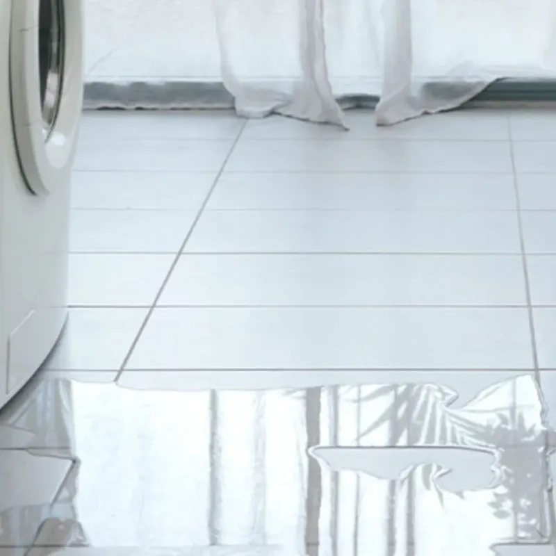 Appliance Leak Cleanup in Belleville, NJ