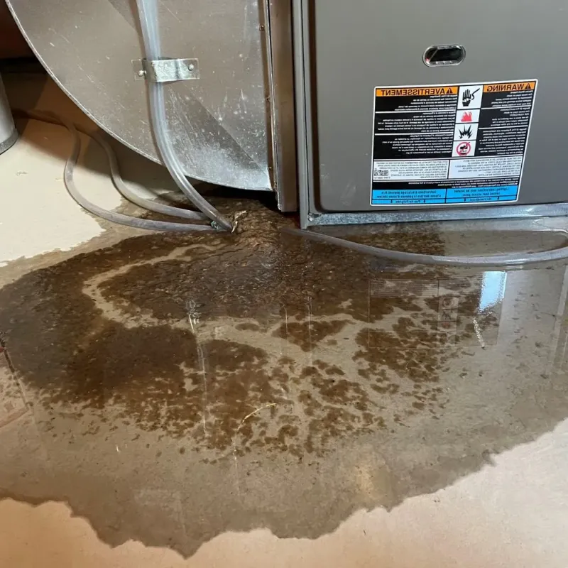 Pipe Burst and Leak Restoration in Belleville, NJ