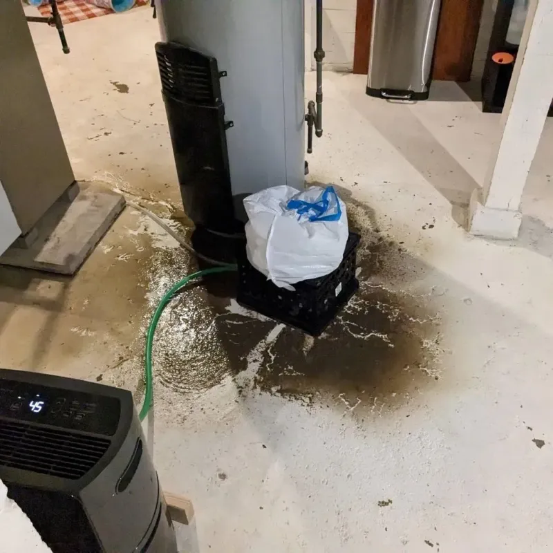 Sewage Backup Cleanup Service in Belleville, NJ